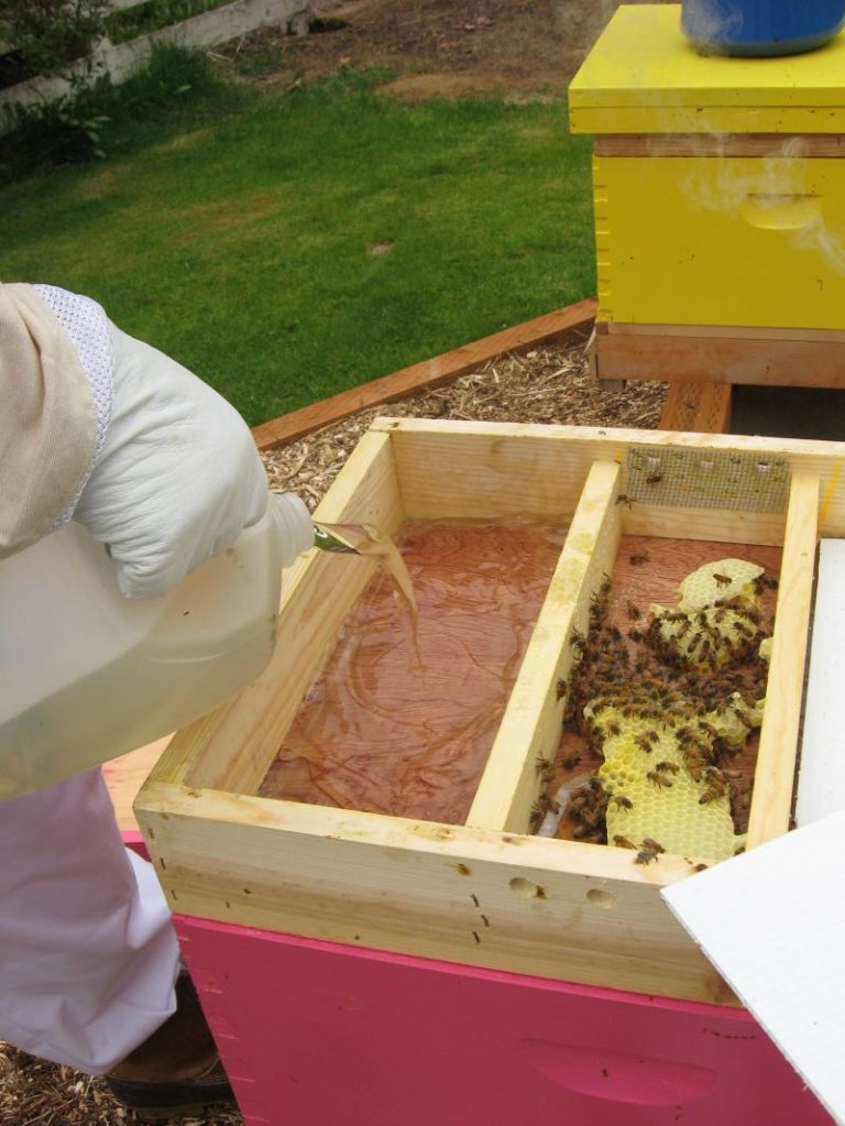 عسل تغذیه ای چیست؟