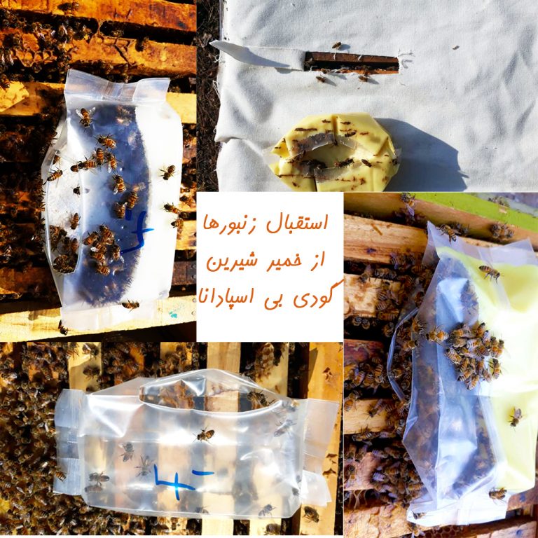 خمیر شیرین گودی بی F3 | خوراک زنبور عسل