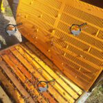 تله بره موم پلاستیکی زنبور عسل آذرپلاستیک