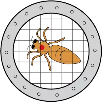 ابزار علامتگذاری ملکه زنبور